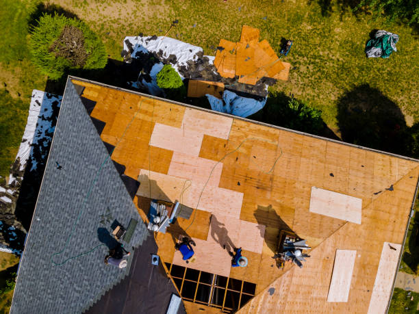 Roof Waterproofing Services in Pine Hills, CA