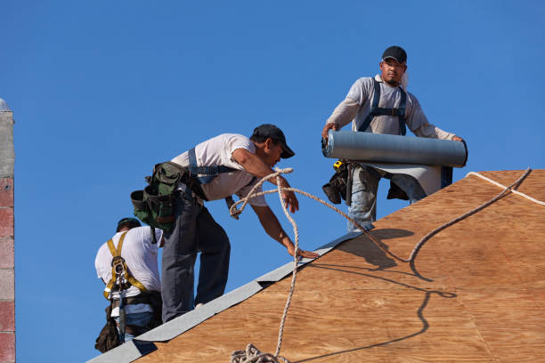 Best Roof Waterproofing Services  in Pine Hills, CA