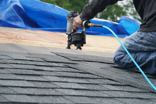 Professional Roofing Contractor in Pine Hills, CA