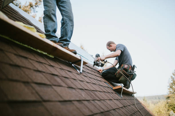 Tile Roofing Contractor in Pine Hills, CA